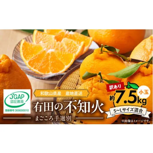ZE6108n_【2026年先行予約】有田の不知火(しらぬひ) 【訳あり　家庭用】7.5kg 小玉（ S～Lサイズ混合）まごころ手選別