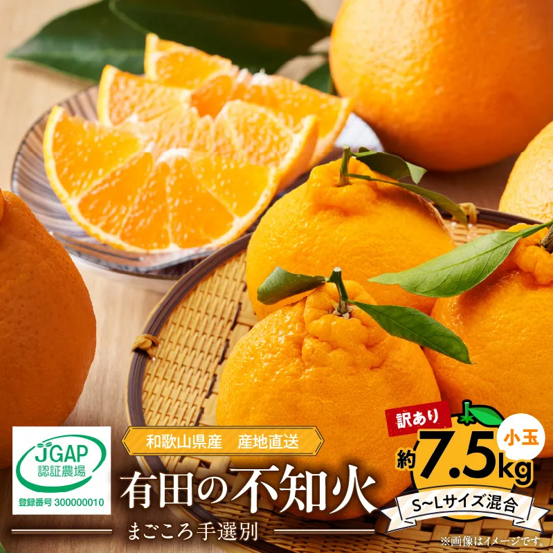 ZE6108n_【2027年先行予約】有田の不知火(しらぬひ) 【訳あり　家庭用】7.5kg 小玉（ S～Lサイズ混合）まごころ手選別