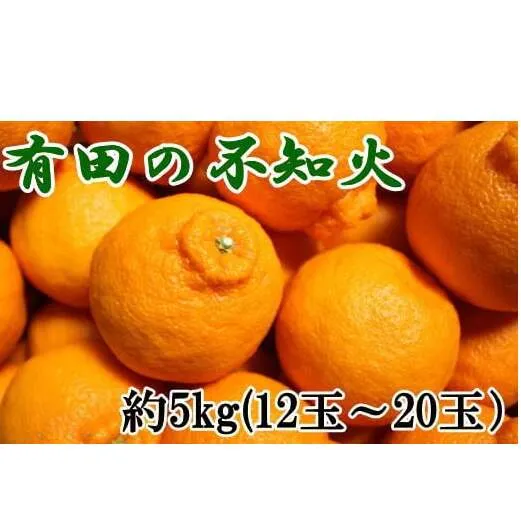 ZD6117n_【2026年先行予約】【濃厚】有田の 不知火 約5kg（12玉～20玉おまかせ）【でこぽん デコポン しらぬい 不知火 柑橘】