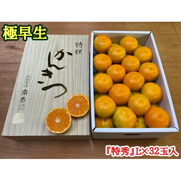 極早生 有田みかん 約4kg 『特秀』Lサイズ32玉入_ZF6000n