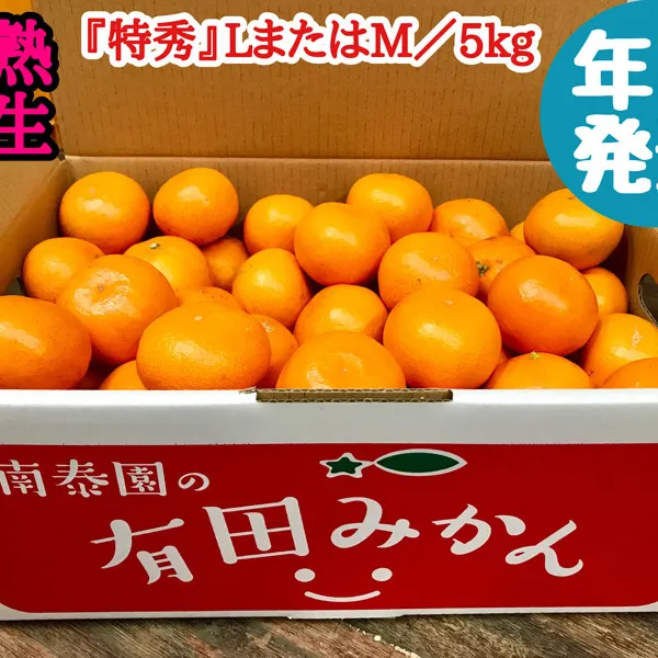 ZF6030n_≪年内発送≫【完熟早生・有田みかん】『特秀』LまたはMサイズ／5kg