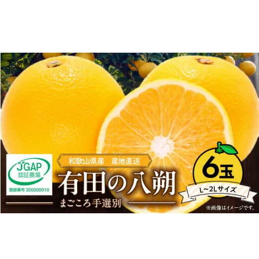 ZE6306n_【2026年先行予約】有田の八朔 (はっさく) 1.5kg　6玉（L～2Lサイズ）まごころ手選別