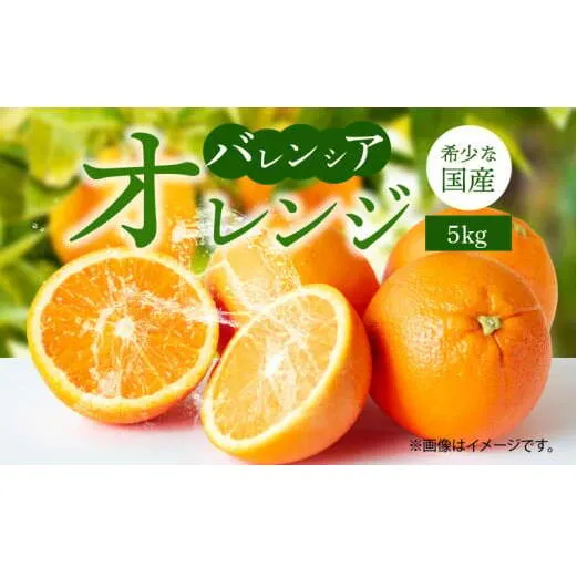 G7079_ 希少 国産 秀品 バレンシアオレンジ 5kg 果汁 豊富 糖度 高い 甘い 爽快感 香り 酸味 味わい スッキリ 栄養補給 柑橘 オレンジ 果物 フルーツ 果実 食品 食べ物 おやつ デザート お取り寄せ お取り寄せフルーツ 和歌山県 湯浅町 送料無料