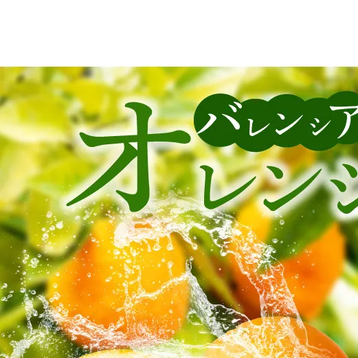 G7079_ 希少 国産 秀品 バレンシアオレンジ 5kg 果汁 豊富 糖度 高い 甘い 爽快感 香り 酸味 味わい スッキリ 栄養補給 柑橘 オレンジ 果物 フルーツ 果実 食品 食べ物 おやつ デザート お取り寄せ お取り寄せフルーツ 和歌山県 湯浅町 送料無料