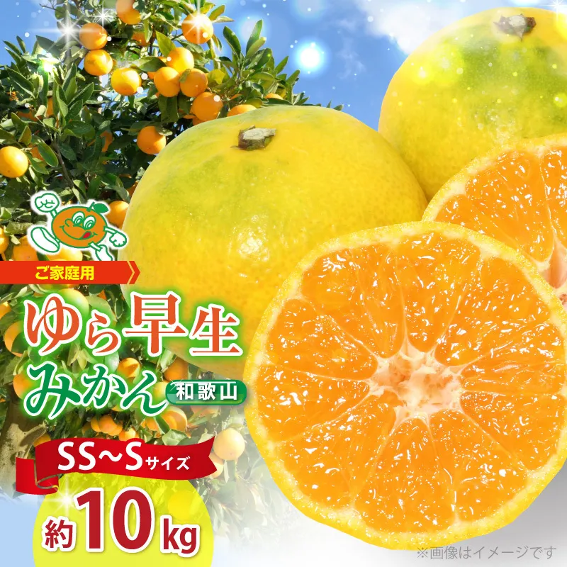 【ご家庭用 極早生】和歌山 有田ゆら早生みかん 約10kg (SS、Sサイズ)【湯浅町】_ZJ1014n