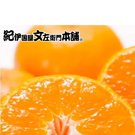 【2026年先行予約】田村みかん／特選ギフト品10kg【Lサイズ】赤秀_V7442