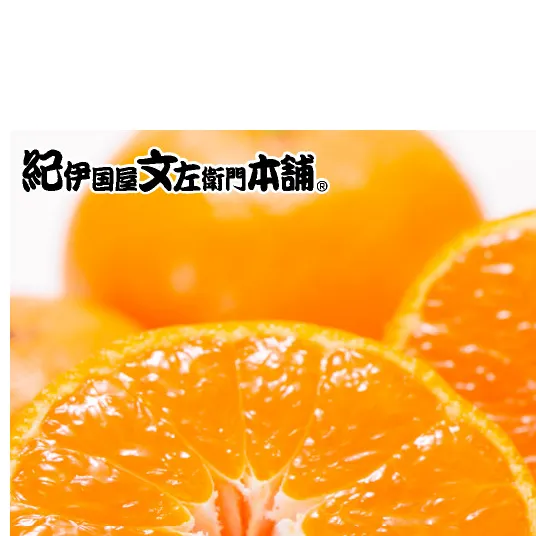 【2026年先行予約】田村みかん 10kg 小玉サイズ 秀品_V7446