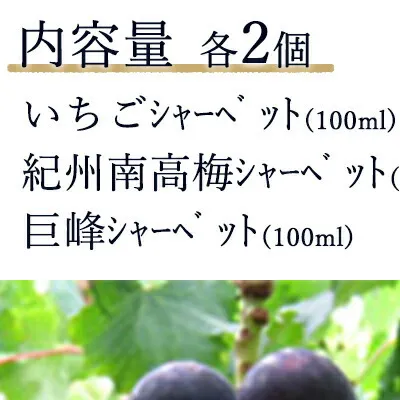 AV6001n_果物たっぷり ジェラート 6個 セット【デザート スイーツ ギフト セット シャーベット】