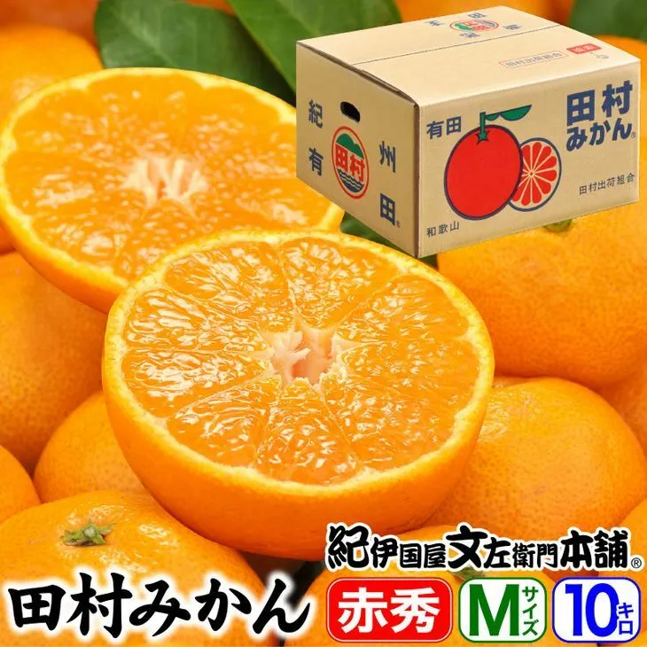 V7443_田村みかん／特選ギフト品10kg【Mサイズ】赤秀