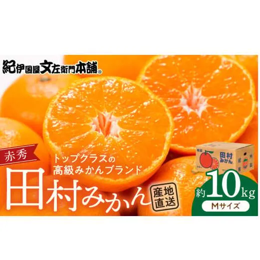 V7443_田村みかん／特選ギフト品10kg【Mサイズ】赤秀