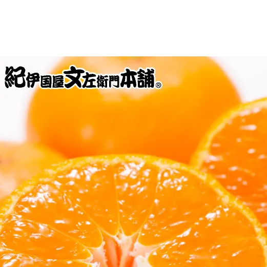 【2026年先行予約】田村みかん／特選ギフト品10kg【Mサイズ】赤秀_V7443