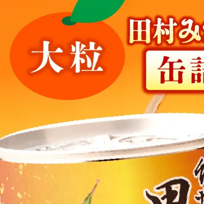 AY6003n_田村みかん 缶詰 12缶セット