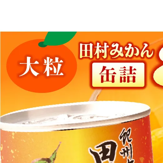 田村みかん 缶詰 8缶セット【フルーツ缶 フルーツ缶詰 みかん 有田みかん 和歌山産】_AY6004n