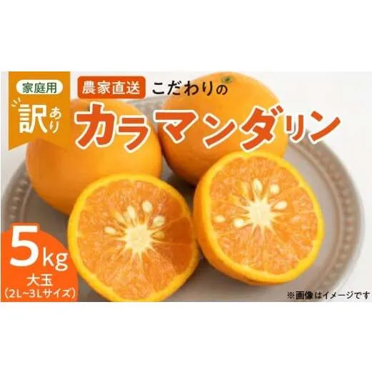 ZT6211n_【2026年先行予約】こだわりの カラマンダリン 【訳あり 家庭用】 5kg 藤秀園