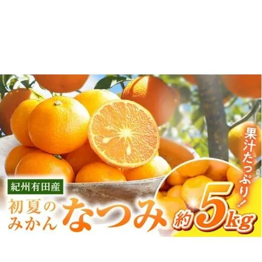G7072_【2026年先行予約】初夏のみかん なつみ5kg