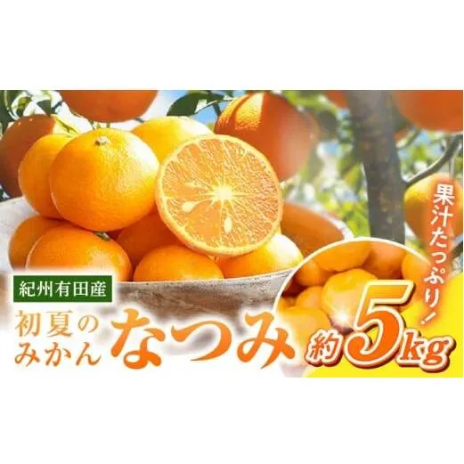 G7072_【2026年先行予約】初夏のみかん なつみ5kg