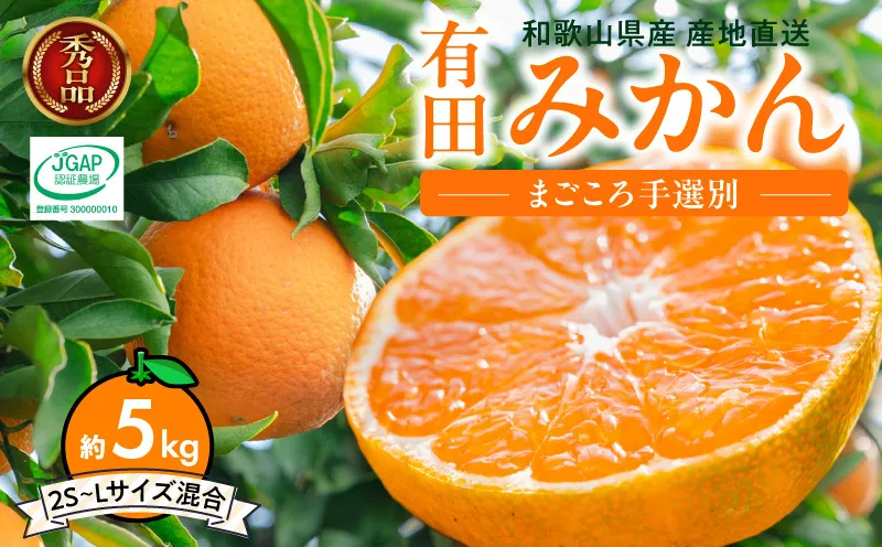 【2026先行予約】和歌山県産 有田みかん 5kg (2S～Lサイズ混合)【まごころ手選別】_ZE6348n