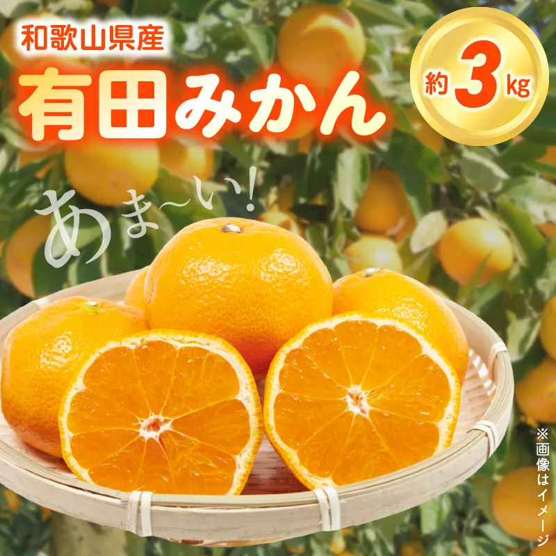 ZN6012_【2025年先行予約】こだわりの和歌山県産 有田みかん 3kg ひとつひとつ手選別で厳選！生産者から直送
