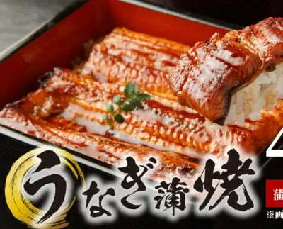 BC6007_うなぎ蒲焼 4本 &角長特製 蒲焼タレ2本 セット【湯浅町×有田川町】※到着希望日（時期）・ご不在日等のご指定不可