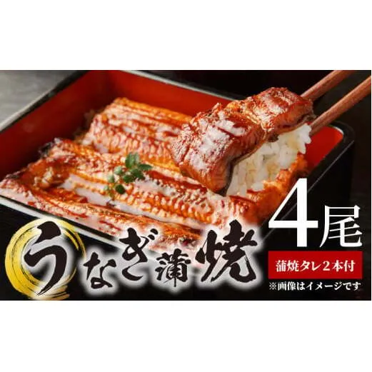 BC6007_うなぎ蒲焼 4尾 & 蒲焼タレ 2本 セット 国産 安全 ふっくら うなぎ 特製 タレ 土用 丑の日 こだわり 蒲焼き 贈答 贈り物 ギフト 急速冷凍 うな丼 うな重 う巻き ひつまぶし うなむすび 濃厚 冷凍 しいば水産 角長 お取り寄せ 和歌山県 湯浅町 送料無料