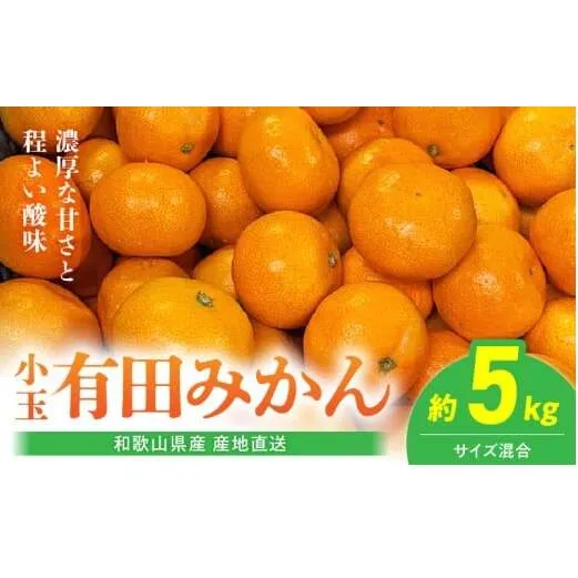BL6173_【2025年先行予約】【産地直送】和歌山県産 有田みかん 小玉 5kg