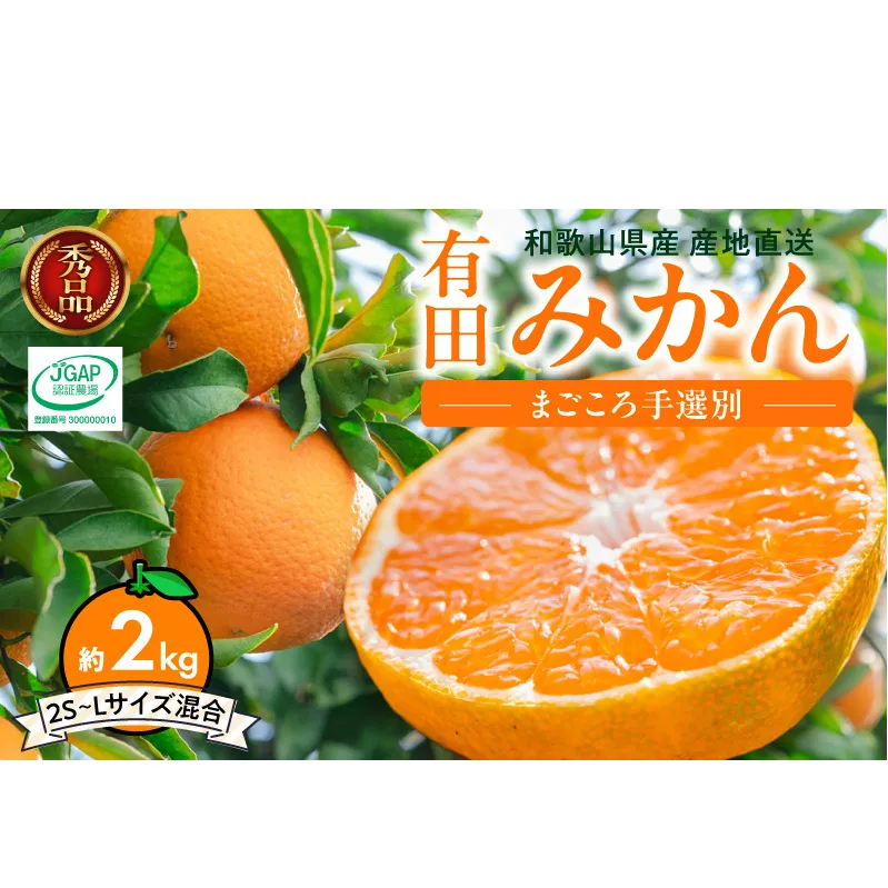 ZE6415_【秀品】【2026先行予約】有田みかん 和歌山県有田産 2kg (2S～Lサイズ混合) 【まごころ手選別】