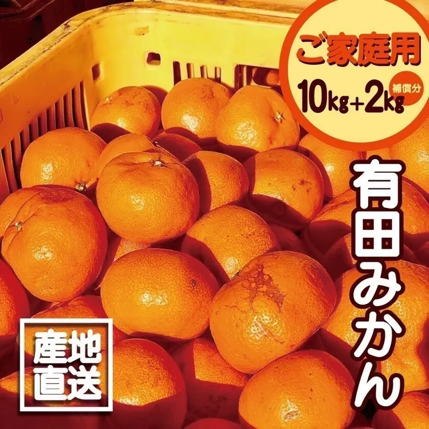 EH6100_【2025年先行予約】【訳あり ご家庭用】和歌山県産 有田みかん 10kg＋2kg保証分 サイズ混合