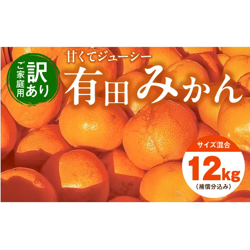 EH6100_【2025年先行予約】【訳あり ご家庭用】和歌山県産 有田みかん 10kg＋2kg保証分 サイズ混合