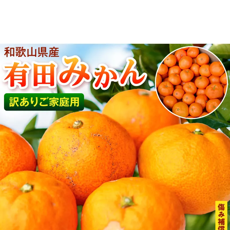【2026年先行予約】【訳あり ご家庭用】和歌山県産 有田みかん 8kg＋2kg保証分 サイズ混合_EH6101