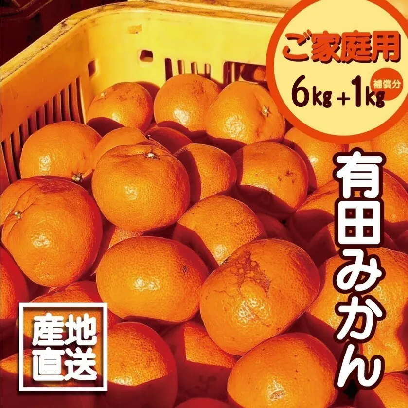EH6102_【2025年先行予約】【訳あり ご家庭用】和歌山県産 有田みかん 6+1kg保証分 サイズ混合