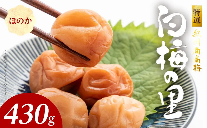 SF2009_特選紀州南高梅「白梅の里」ほのか　430ｇ