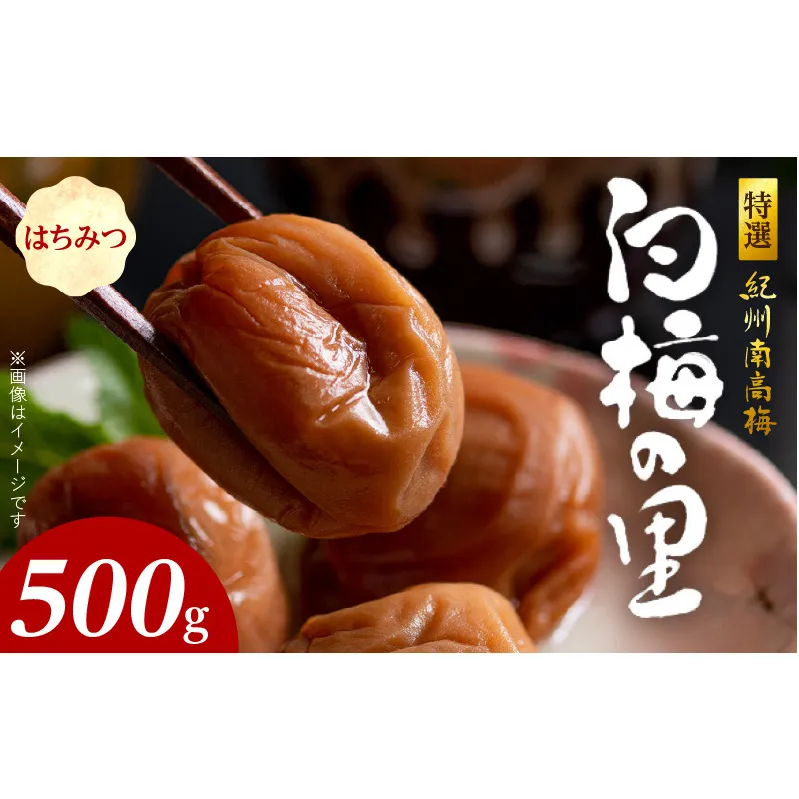 SF1011_特選紀州南高梅「白梅の里」はちみつ　500ｇ
