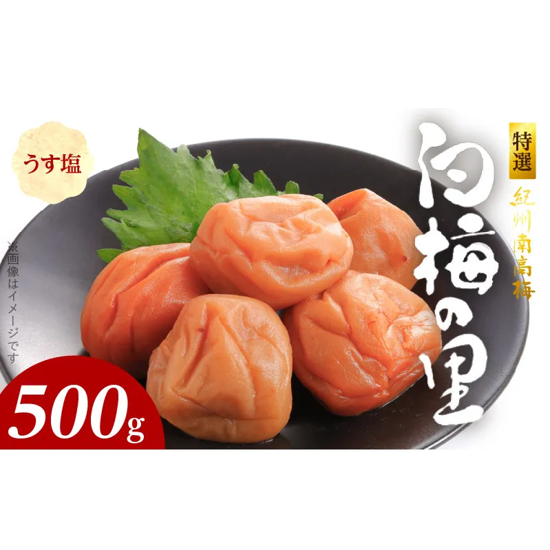 SF1008_特選紀州南高梅「白梅の里」うす塩味　500ｇ