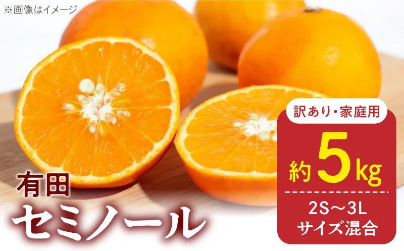 【2027年先行予約】訳あり 家庭用 セミノール  和歌山 有田  2S～3Lサイズ混合 約5kg_DZ6211