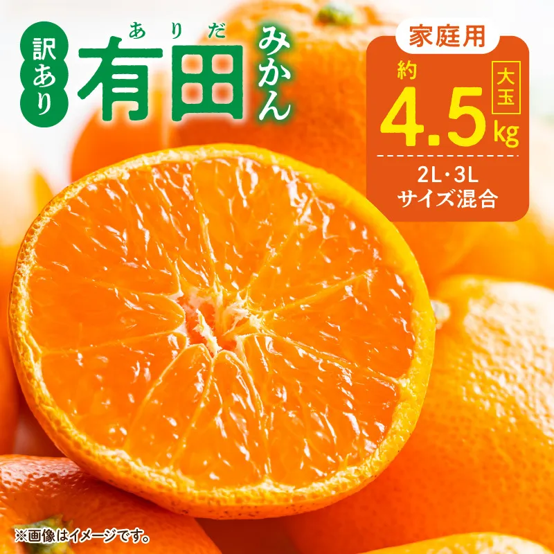 【2026年先行予約】ご家庭用 有田みかん 和歌山 大玉(2L,3Lサイズ混合) 約4.5kg_DZ6218