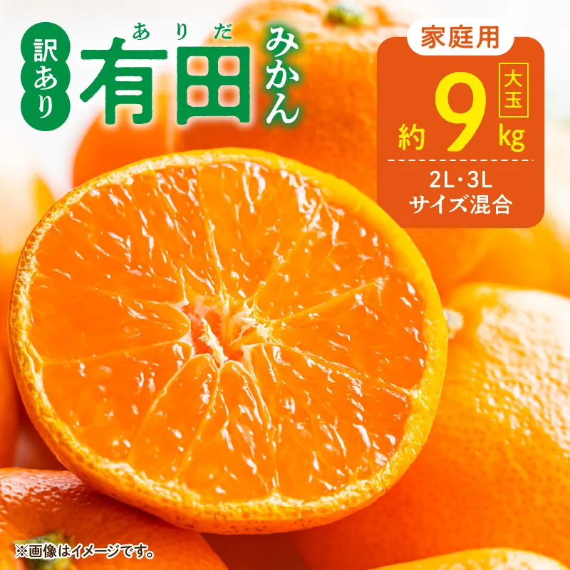 【2026年先行予約】ご家庭用 有田みかん 大玉(2L,3Lサイズ混合) 約9kg_DZ6217