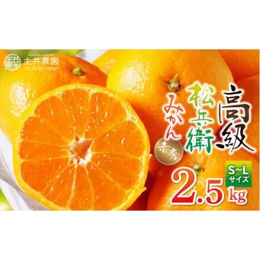 ZS6143n_主井農園 高級 松兵衛みかん 赤秀 2.5kg (S~Lサイズおまかせ)