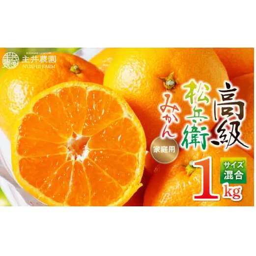 ZS6146_主井農園 高級 松兵衛みかん ご家庭用 1kg お試し (サイズ混合)