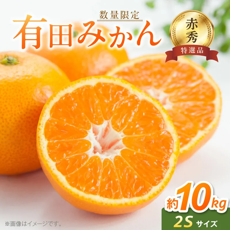 【赤秀特選品】有田みかん 2Sサイズ 約10kg_BF6001n