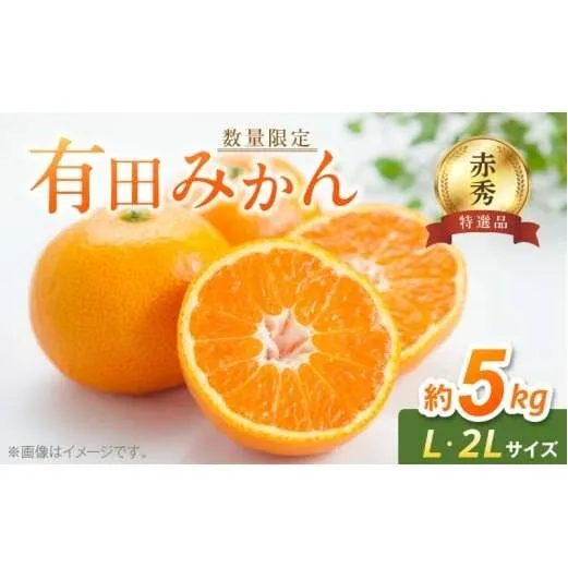 BF6006n_【数量限定】【赤秀 特選品】 有田みかん L,2Lサイズ 約5kg 【ミカン 蜜柑 柑橘 温州みかん 有田みかん 和歌山 贈答 ギフト】