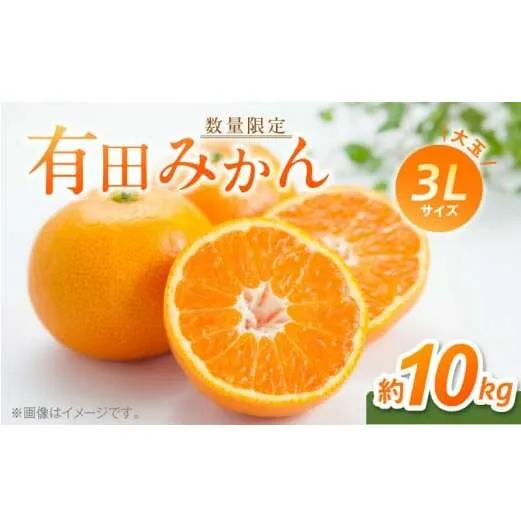 BF6012n_【数量限定】 有田みかん 大玉 3Lサイズ 10kg 【ミカン 蜜柑 柑橘 温州みかん 有田みかん 和歌山】