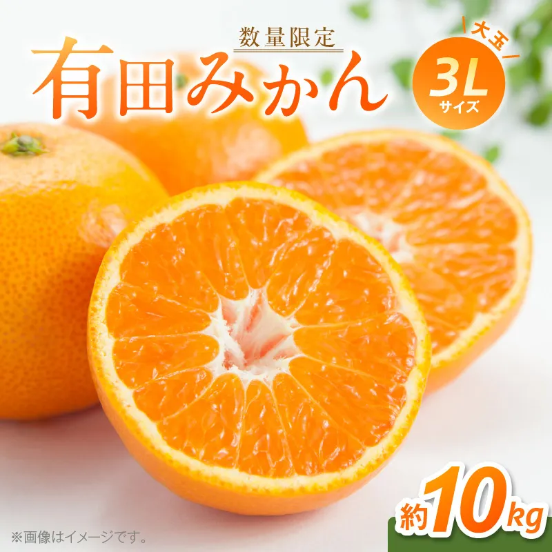 有田みかん 大玉 3Lサイズ 10kg 【ミカン 蜜柑 柑橘 温州みかん 有田みかん 和歌山】_BF6012n