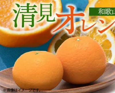G7066_【2026年先行予約】とにかくジューシー 清見 オレンジ 5kg