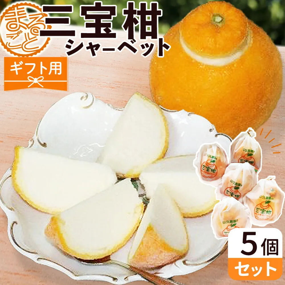 ZP6009_GFTn_【ギフト用】まるごと 三宝柑 シャーベット 5個 セット