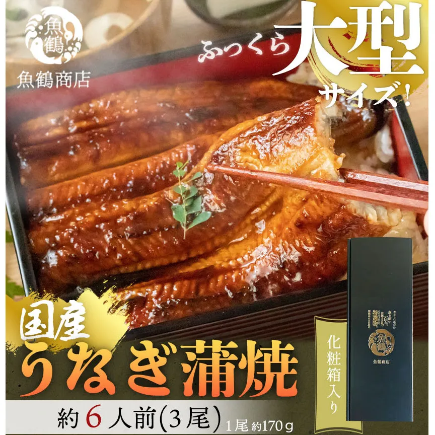 G7311_大型サイズ ふっくら柔らか 国産うなぎ 蒲焼き 3尾 (約6人前) 化粧箱入