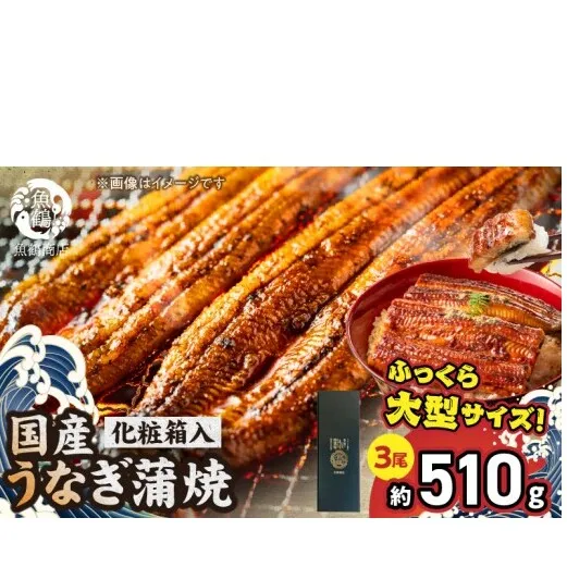 G7311_大型サイズ ふっくら柔らか 国産うなぎ 蒲焼き 3尾 (約6人前) 化粧箱入