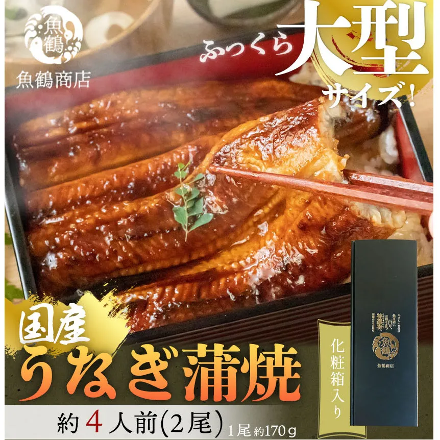 G7005_大型サイズ ふっくら柔らか 国産うなぎ 蒲焼き 2尾 (約4人前) 化粧箱入
