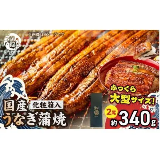 G7005_大型サイズ ふっくら柔らか 国産うなぎ 蒲焼き 2尾 (約4人前) 化粧箱入
