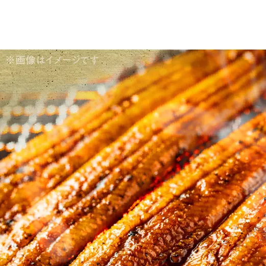 G7005_大型サイズ ふっくら柔らか 国産うなぎ 蒲焼き 2尾 (約4人前) 化粧箱入