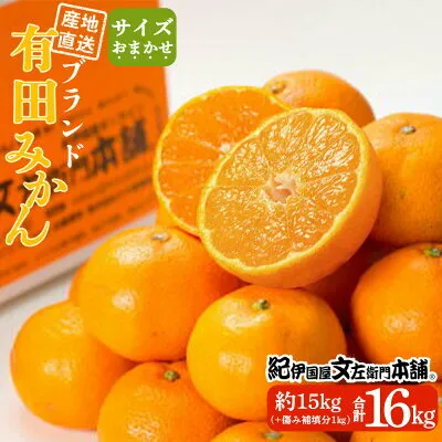 V7440_有田みかん 約15kg(+傷み補填分1kg)=合計16kg【サイズおまかせ】 / 産地直送 / 紀伊国屋文左衛門本舗（お届け日指定不可）
